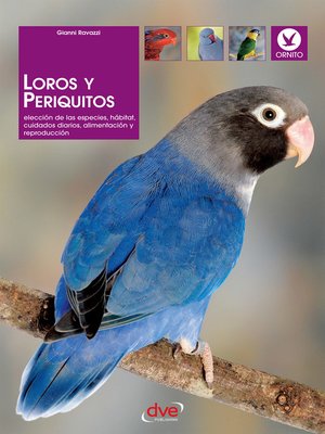 cover image of Loros y periquitos